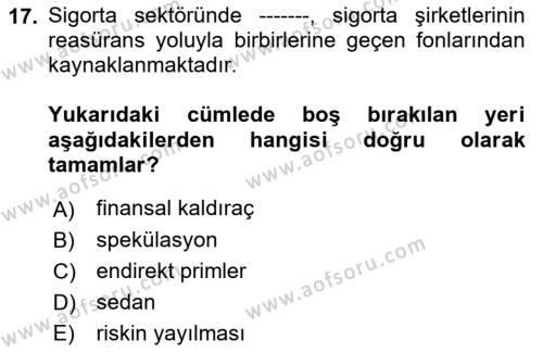 Finansal Kurumlar Dersi 2022 - 2023 Yılı Yaz Okulu Sınavı 17. Soru