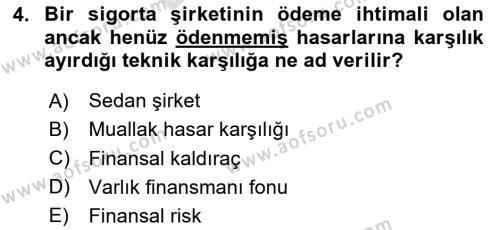 Finansal Kurumlar Dersi 2023 - 2024 Yılı (Final) Dönem Sonu Sınavı 4. Soru