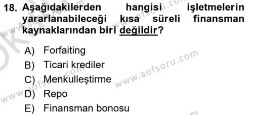 Finansal Yönetim 1 Dersi 2022 - 2023 Yılı Yaz Okulu Sınavı 18. Soru