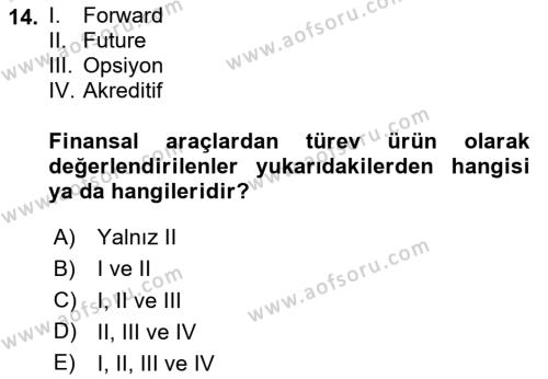 Finansal Yönetim 2 Dersi 2020 - 2021 Yılı Yaz Okulu Sınavı 14. Soru