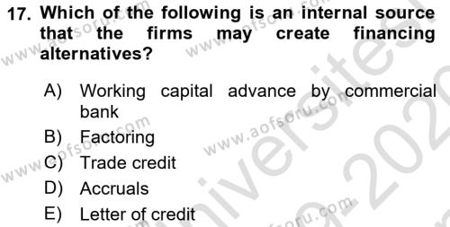 Business Finance 1 Dersi 2019 - 2020 Yılı (Final) Dönem Sonu Sınavı 17. Soru