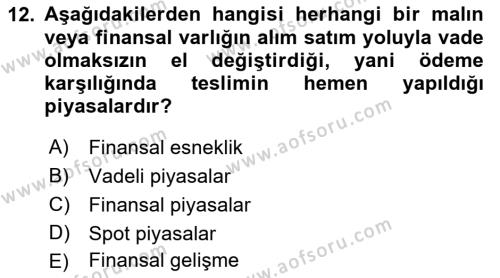 Finansal Yönetim 2 Dersi 2021 - 2022 Yılı Yaz Okulu Sınavı 12. Soru