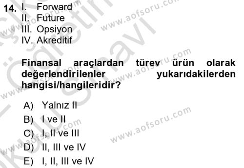 Finansal Yönetim 2 Dersi 2021 - 2022 Yılı Yaz Okulu Sınavı 14. Soru