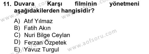 Film ve Video Kültürü Dersi 2012 - 2013 Yılı (Vize) Ara Sınavı 11. Soru