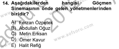 Film ve Video Kültürü Dersi 2012 - 2013 Yılı (Vize) Ara Sınavı 14. Soru