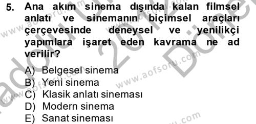 Film ve Video Kültürü Dersi 2012 - 2013 Yılı (Final) Dönem Sonu Sınavı 5. Soru