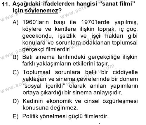 Film ve Video Kültürü Dersi 2013 - 2014 Yılı (Vize) Ara Sınavı 11. Soru
