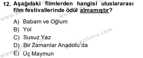 Film ve Video Kültürü Dersi 2013 - 2014 Yılı (Vize) Ara Sınavı 12. Soru