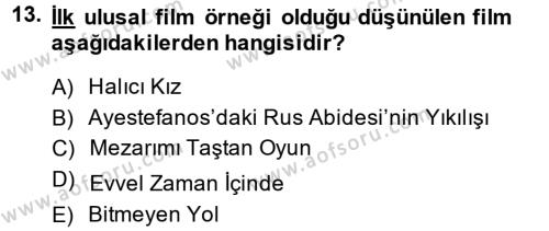Film ve Video Kültürü Dersi 2013 - 2014 Yılı (Vize) Ara Sınavı 13. Soru