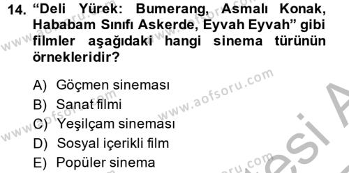 Film ve Video Kültürü Dersi 2013 - 2014 Yılı (Vize) Ara Sınavı 14. Soru