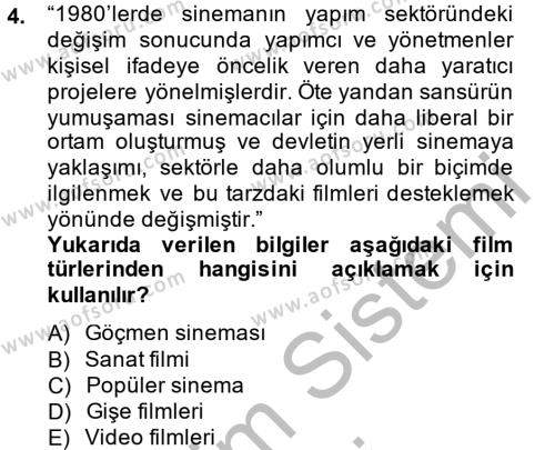 Film ve Video Kültürü Dersi 2013 - 2014 Yılı (Final) Dönem Sonu Sınavı 4. Soru