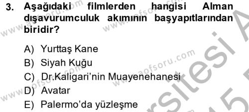 Film ve Video Kültürü Dersi 2014 - 2015 Yılı (Vize) Ara Sınavı 3. Soru