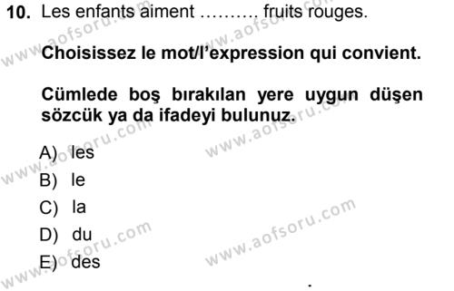 Fransızca 1 Dersi 2012 - 2013 Yılı (Vize) Ara Sınavı 10. Soru