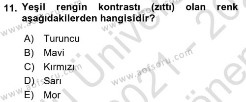 Temel Sanat ve Tasarım Eğitimi Dersi 2021 - 2022 Yılı (Final) Dönem Sonu Sınavı 11. Soru