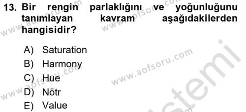 Temel Sanat ve Tasarım Eğitimi Dersi 2021 - 2022 Yılı (Final) Dönem Sonu Sınavı 13. Soru