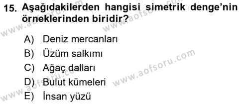 Temel Sanat ve Tasarım Eğitimi Dersi 2021 - 2022 Yılı (Final) Dönem Sonu Sınavı 15. Soru