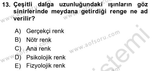 Temel Sanat ve Tasarım Eğitimi Dersi 2021 - 2022 Yılı Yaz Okulu Sınavı 13. Soru