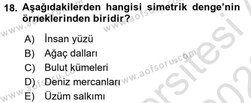 Temel Sanat ve Tasarım Eğitimi Dersi 2021 - 2022 Yılı Yaz Okulu Sınavı 18. Soru