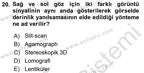 Temel Sanat ve Tasarım Eğitimi Dersi 2021 - 2022 Yılı Yaz Okulu Sınavı 20. Soru