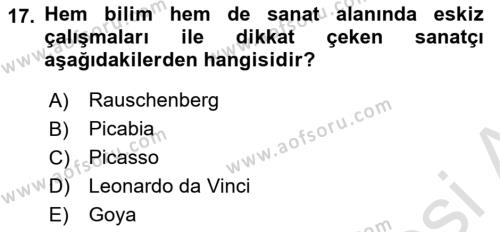 Temel Sanat ve Tasarım Eğitimi Dersi 2022 - 2023 Yılı (Vize) Ara Sınavı 17. Soru