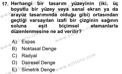 Temel Sanat ve Tasarım Eğitimi Dersi 2023 - 2024 Yılı (Final) Dönem Sonu Sınavı 17. Soru