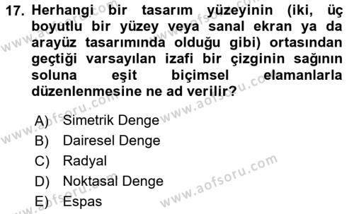 Temel Sanat ve Tasarım Eğitimi Dersi 2023 - 2024 Yılı Yaz Okulu Sınavı 17. Soru