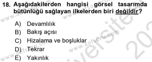 Temel Sanat ve Tasarım Eğitimi Dersi 2023 - 2024 Yılı Yaz Okulu Sınavı 18. Soru