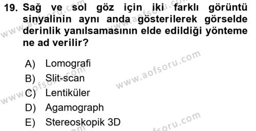 Temel Sanat ve Tasarım Eğitimi Dersi 2023 - 2024 Yılı Yaz Okulu Sınavı 19. Soru