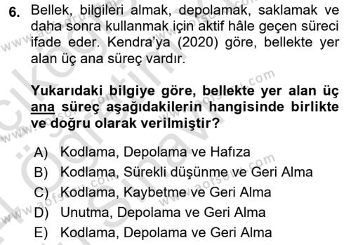 Temel Sanat ve Tasarım Eğitimi Dersi 2023 - 2024 Yılı Yaz Okulu Sınavı 6. Soru