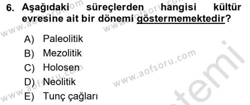 Anadolu Kültür Tarihi Dersi 2021 - 2022 Yılı (Vize) Ara Sınavı 6. Soru