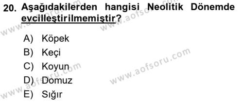 Anadolu Kültür Tarihi Dersi 2022 - 2023 Yılı Yaz Okulu Sınavı 20. Soru