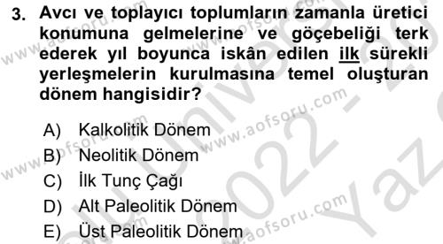 Anadolu Kültür Tarihi Dersi 2022 - 2023 Yılı Yaz Okulu Sınavı 3. Soru