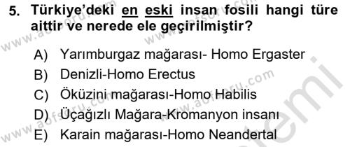 Anadolu Kültür Tarihi Dersi 2022 - 2023 Yılı Yaz Okulu Sınavı 5. Soru
