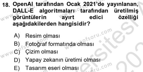 Dijital Kültür Dersi 2022 - 2023 Yılı Yaz Okulu Sınavı 18. Soru