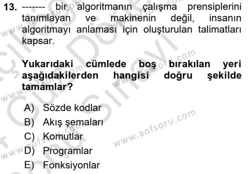 Yeni Medya Sanatı Dersi 2023 - 2024 Yılı (Final) Dönem Sonu Sınavı 13. Soru