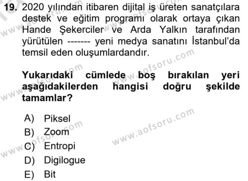 Yeni Medya Sanatı Dersi 2023 - 2024 Yılı Yaz Okulu Sınavı 19. Soru