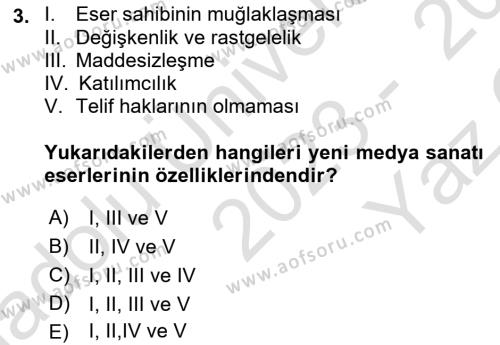 Yeni Medya Sanatı Dersi 2023 - 2024 Yılı Yaz Okulu Sınavı 3. Soru