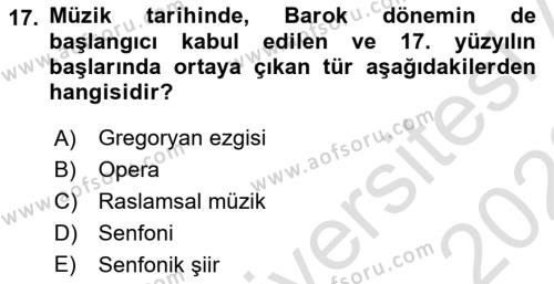 Sanatta Eleştirel Düşünce Dersi 2022 - 2023 Yılı (Vize) Ara Sınavı 17. Soru