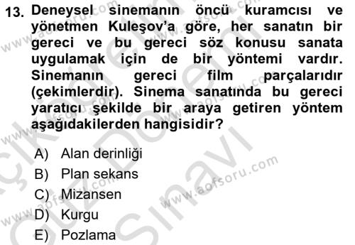 Sanatta Eleştirel Düşünce Dersi 2022 - 2023 Yılı (Final) Dönem Sonu Sınavı 13. Soru