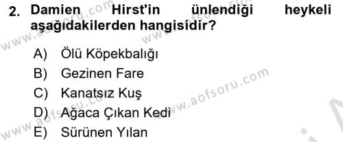 Sanatta Eleştirel Düşünce Dersi 2022 - 2023 Yılı (Final) Dönem Sonu Sınavı 2. Soru