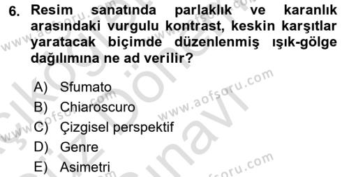 Sanatta Eleştirel Düşünce Dersi 2022 - 2023 Yılı (Final) Dönem Sonu Sınavı 6. Soru