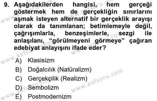 Sanatta Eleştirel Düşünce Dersi 2022 - 2023 Yılı (Final) Dönem Sonu Sınavı 9. Soru