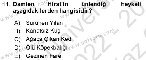 Sanatta Eleştirel Düşünce Dersi 2022 - 2023 Yılı Yaz Okulu Sınavı 11. Soru