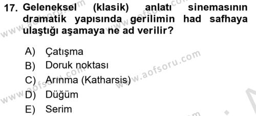 Sanatta Eleştirel Düşünce Dersi 2022 - 2023 Yılı Yaz Okulu Sınavı 17. Soru