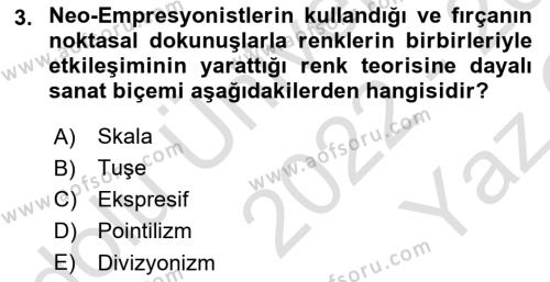 Sanatta Eleştirel Düşünce Dersi 2022 - 2023 Yılı Yaz Okulu Sınavı 3. Soru