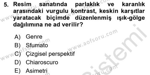 Sanatta Eleştirel Düşünce Dersi 2022 - 2023 Yılı Yaz Okulu Sınavı 5. Soru