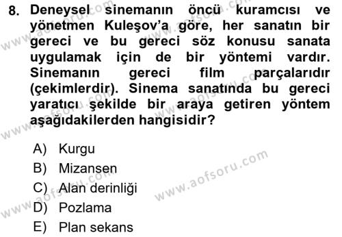 Sanatta Eleştirel Düşünce Dersi 2022 - 2023 Yılı Yaz Okulu Sınavı 8. Soru