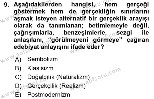 Sanatta Eleştirel Düşünce Dersi 2022 - 2023 Yılı Yaz Okulu Sınavı 9. Soru