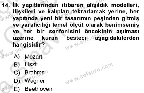 Sanatta Eleştirel Düşünce Dersi 2023 - 2024 Yılı (Vize) Ara Sınavı 14. Soru