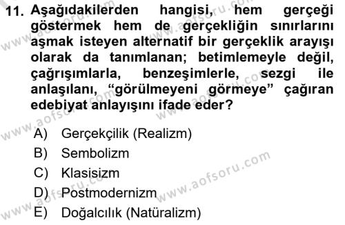 Sanatta Eleştirel Düşünce Dersi 2023 - 2024 Yılı (Final) Dönem Sonu Sınavı 11. Soru